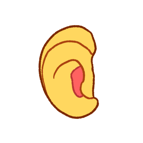 ear