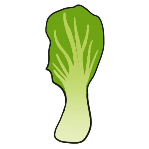 bok choy