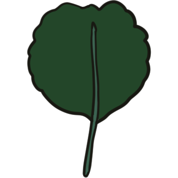 spatulae (leaf shape)