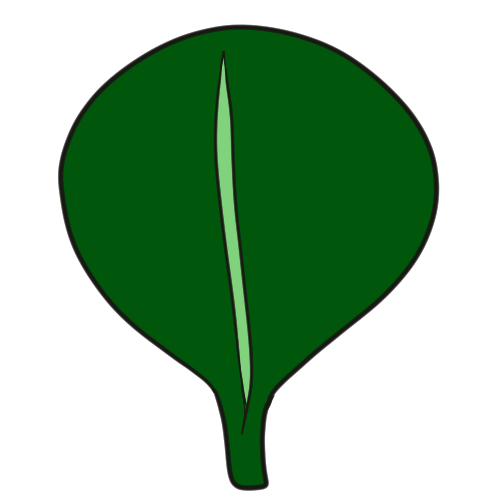 ovate (leaf shape)