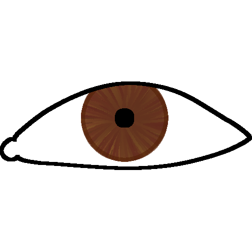 eye