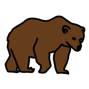 brown bear