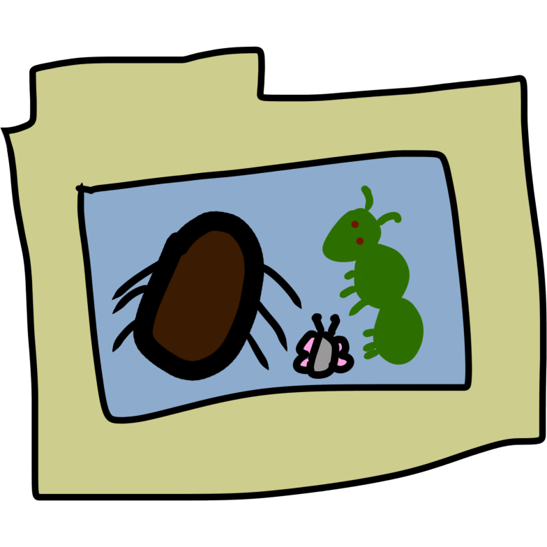 insects folder