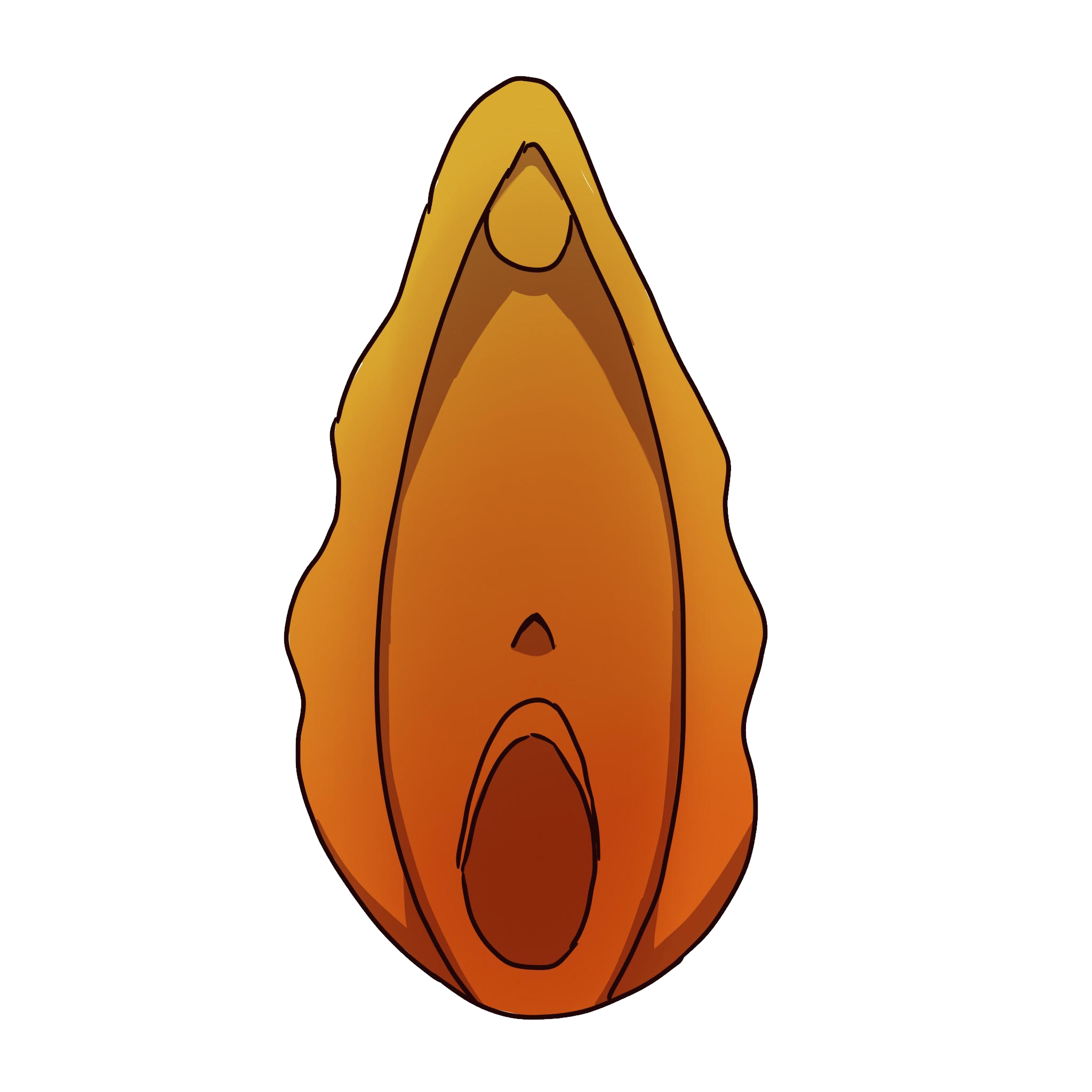 vulva