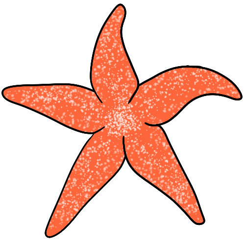 starfish