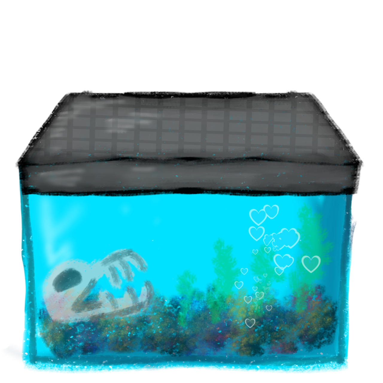 fish tank