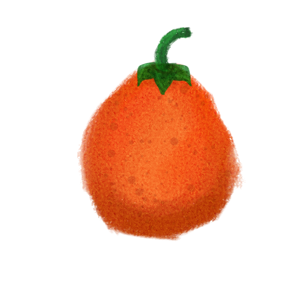 Animal Crossing orange