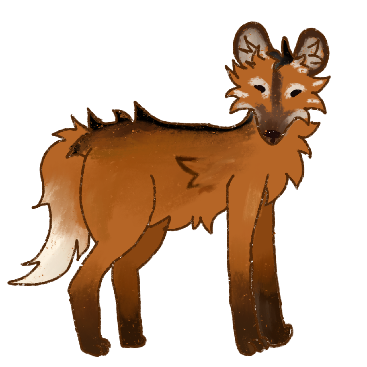 maned wolf