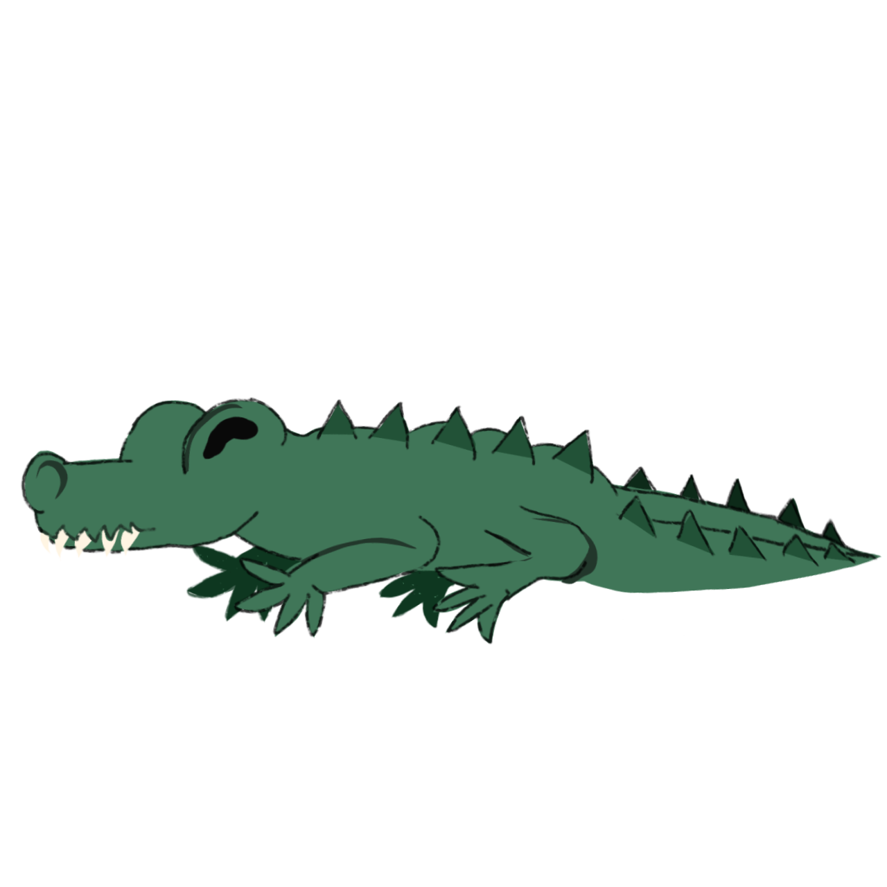 alligator