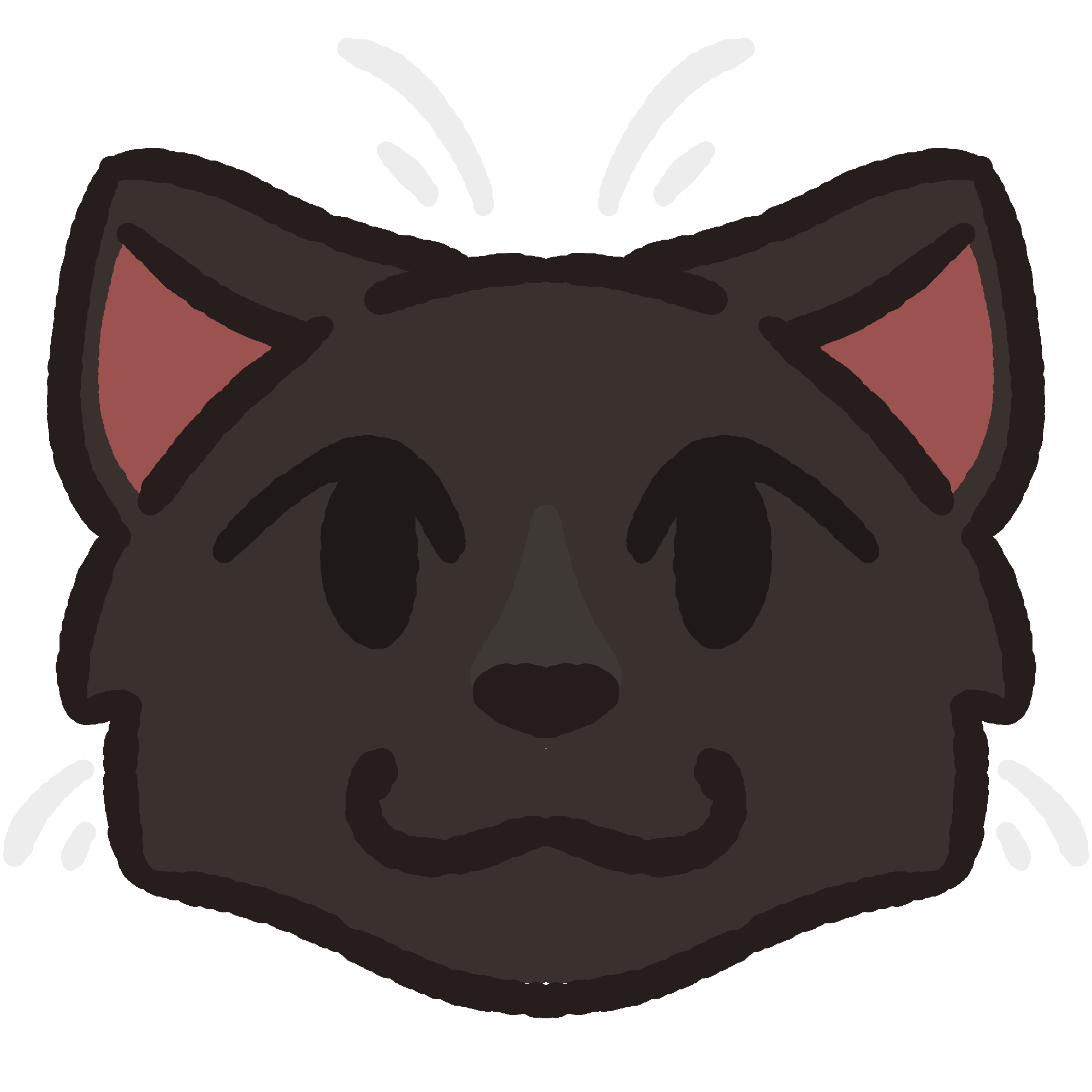 black cat