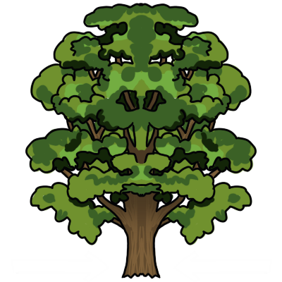 oak tree