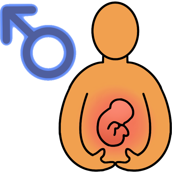 male pregnancy