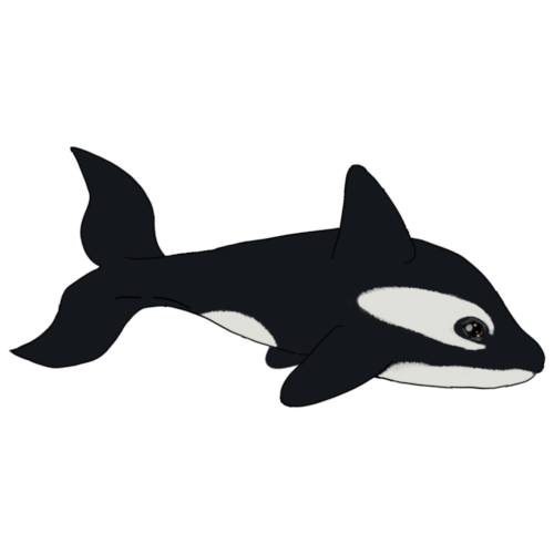 orca