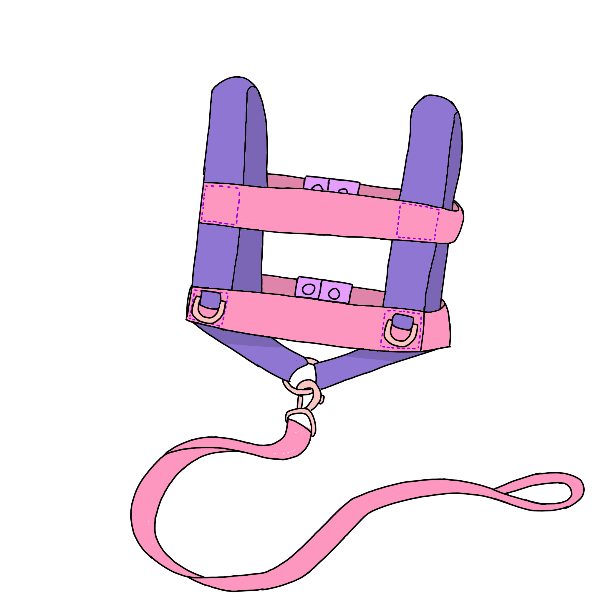 walking harness