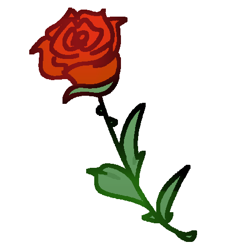 red rose