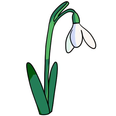 snowdrop