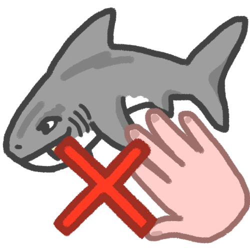 do not touch sharks