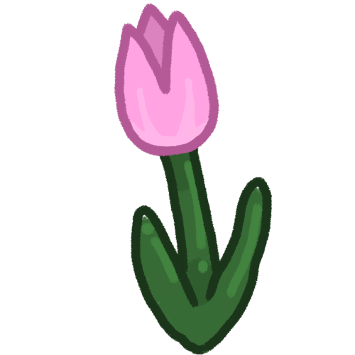 tulip