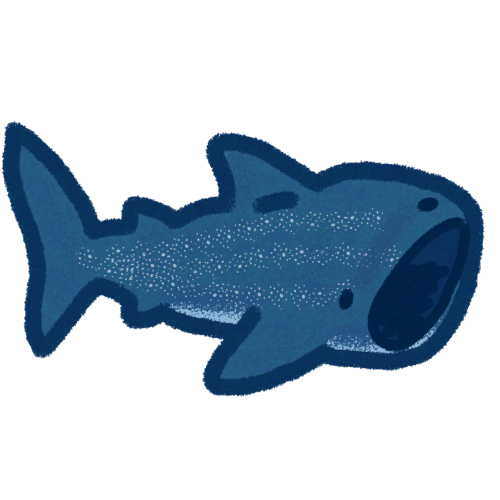 whale shark