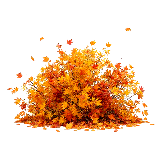 autumn
