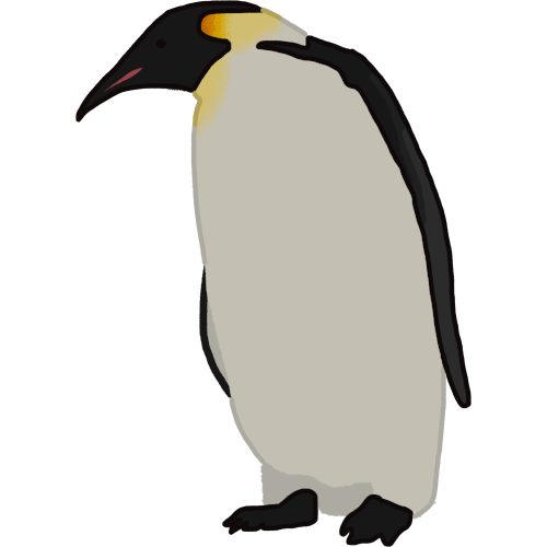 emperor penguin