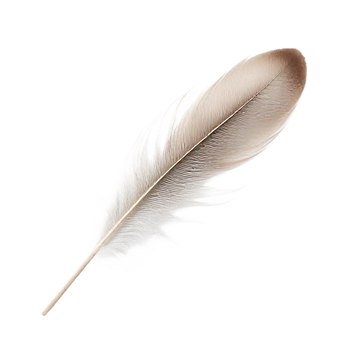 feather