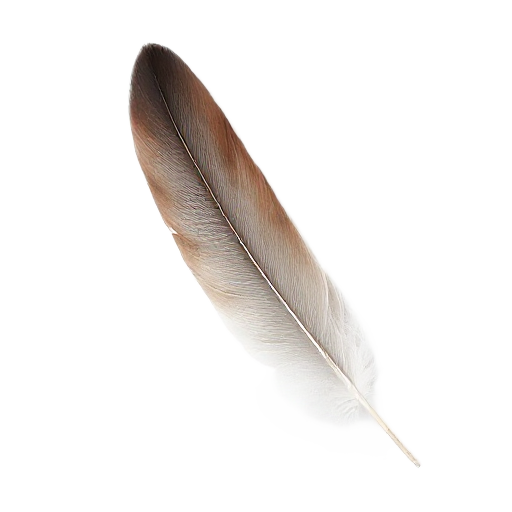 feather