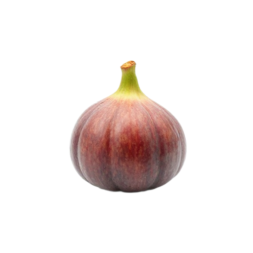 fig