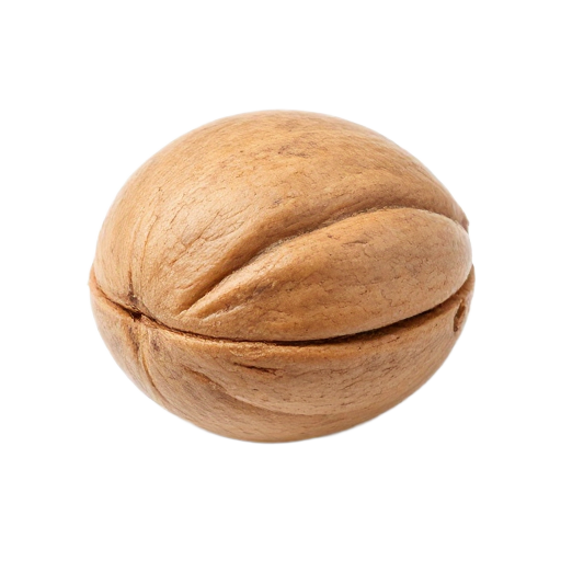 nut