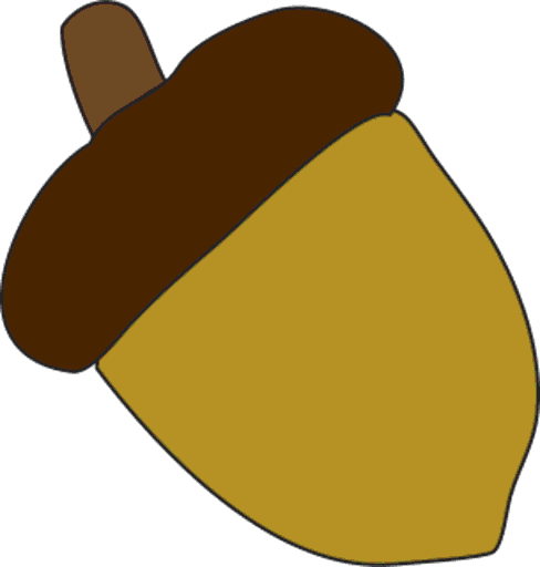 acorn