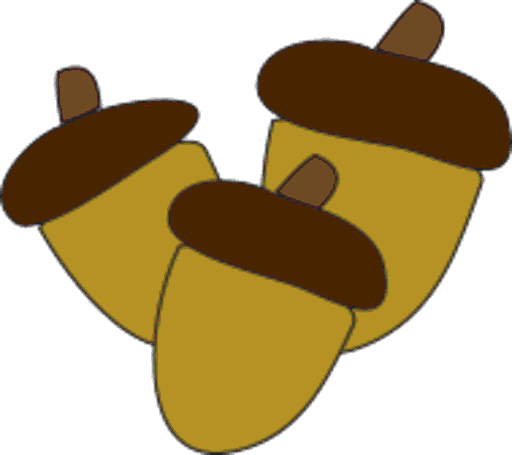 acorns