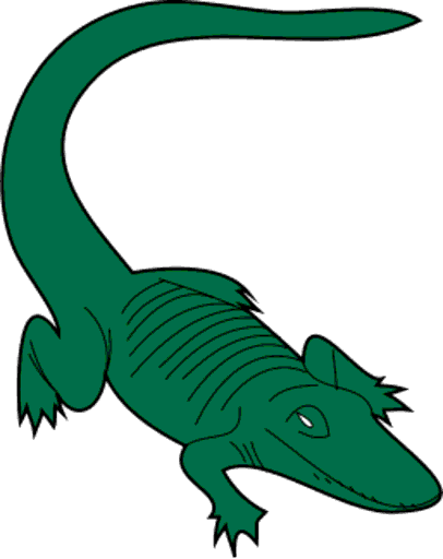 alligator