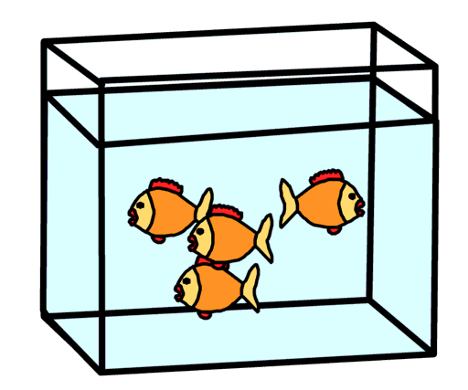 aquarium