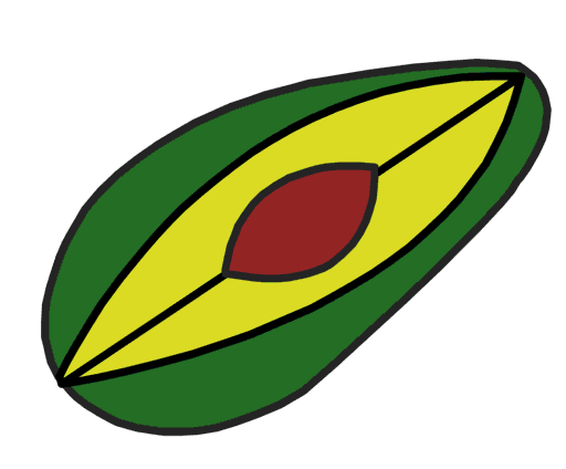 avocado