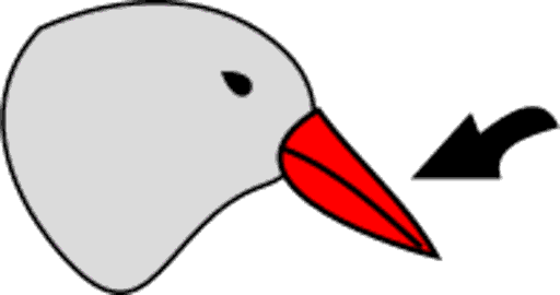beak