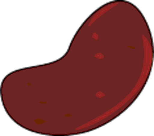 bean