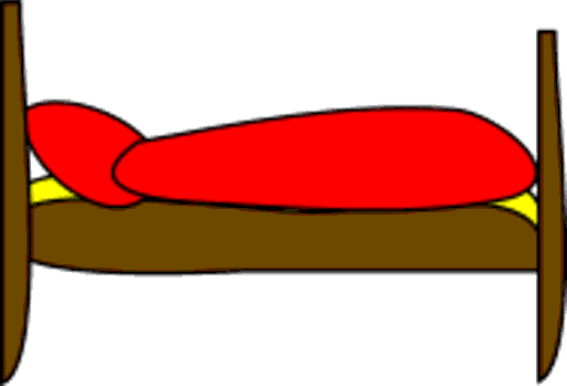 bed