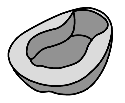 bedpan