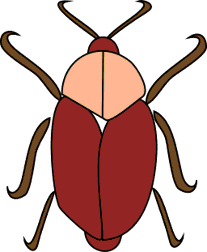 beetle