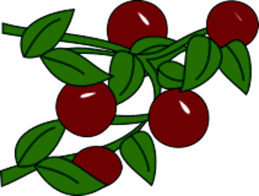berries