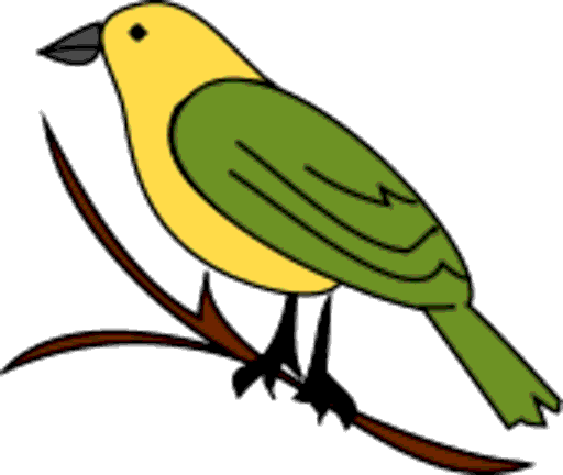 bird