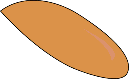 birdseed
