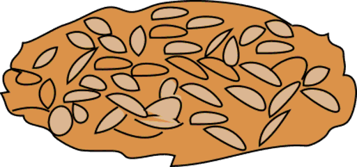 birdseeds