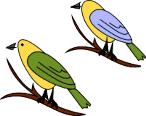 birds