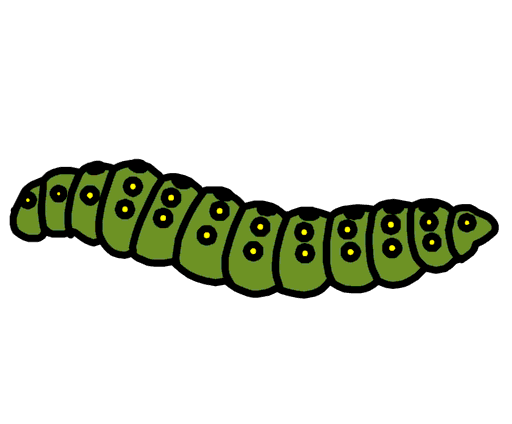 caterpillar
