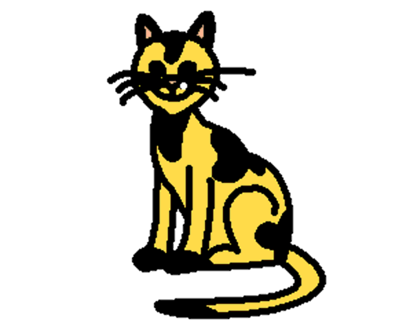 cat