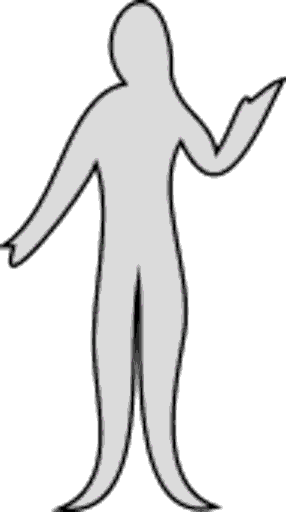 body