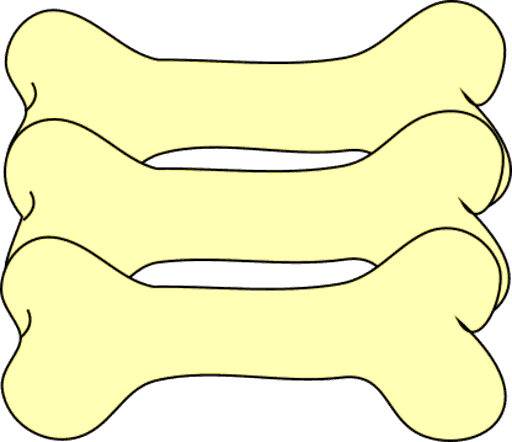 bones