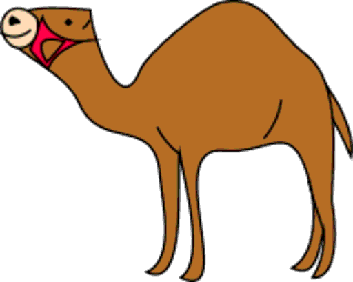 camel