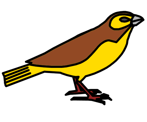 canary